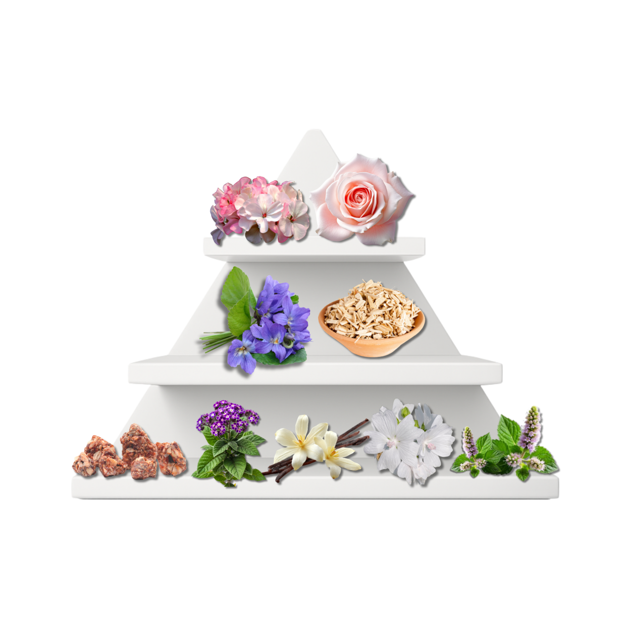 Milan Lullaby Duftpyramide